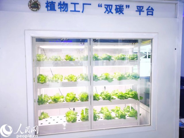 数字内容新纪元 激发源头创新，科技点亮精彩生活