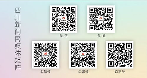 四川发布校外培训机构广告规范提示，数字内容制作服务需注意这些“红线”