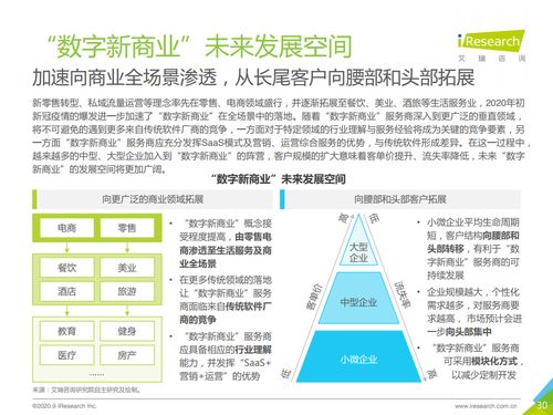 数字内容制作服务 2020年中国数字新商业发展的核心引擎